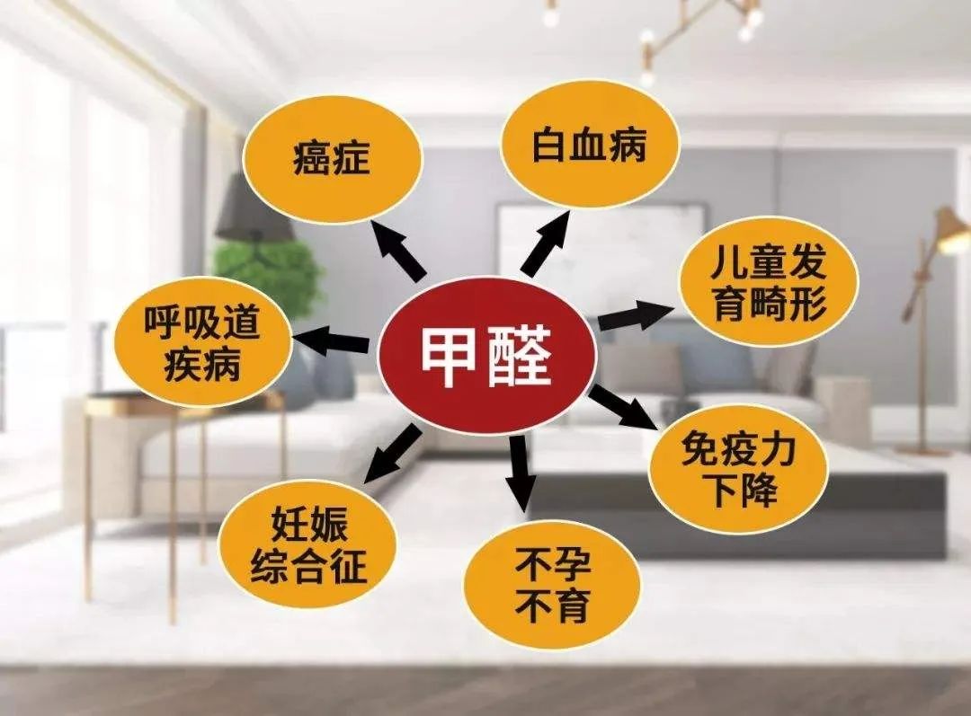疫情當(dāng)下，更要把家打造成健康的堡壘(圖4)