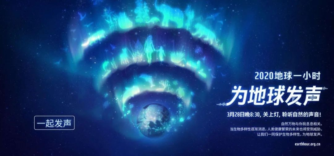 環(huán)保進(jìn)行時 | 華洲木業(yè)，用行動為地球發(fā)聲(圖1)