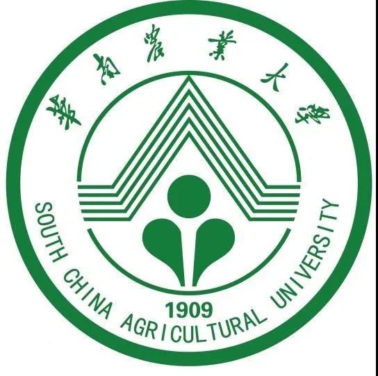 華南農(nóng)業(yè)大學(xué)材料與能源學(xué)院胡傳雙院長(zhǎng)一行到訪(fǎng)華洲木業(yè)參觀(guān)交流(圖3)