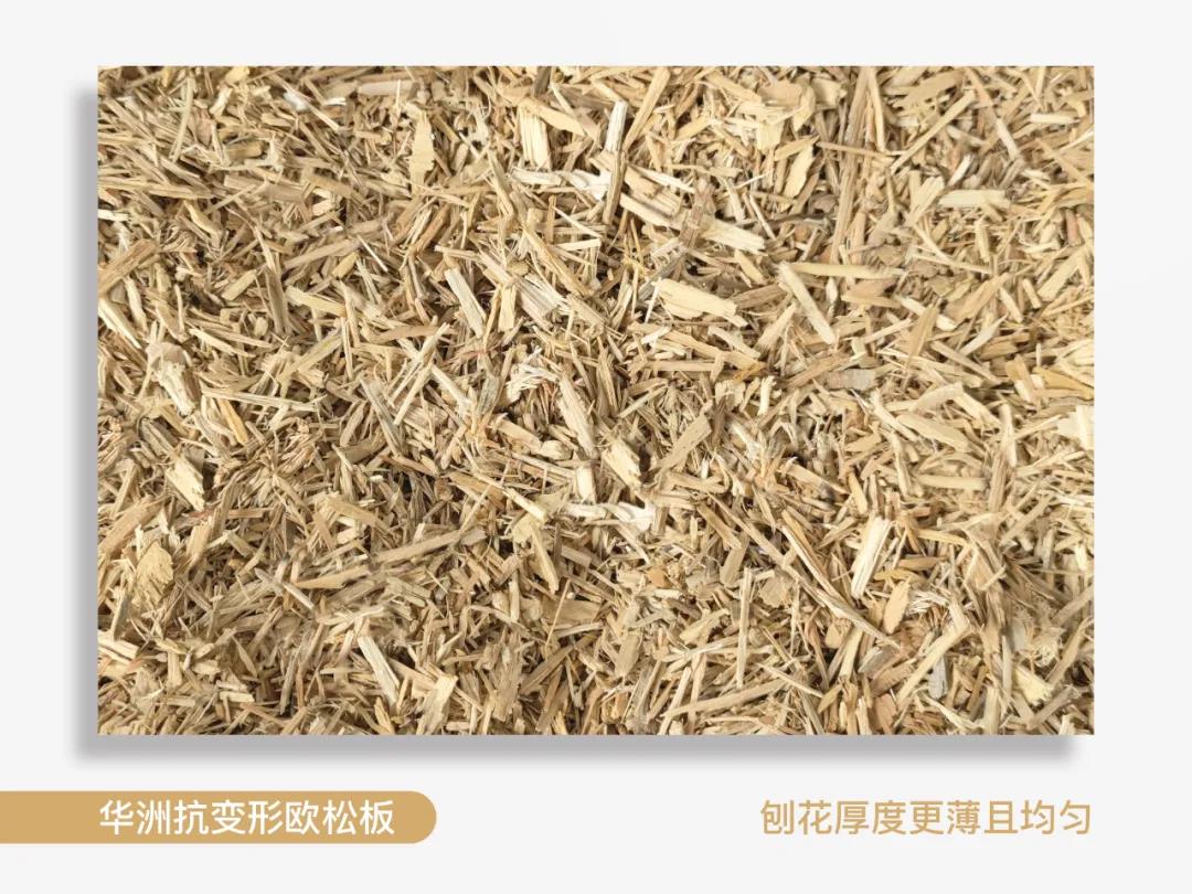 以不變應(yīng)萬變，華洲抗變形歐松板！(圖1)