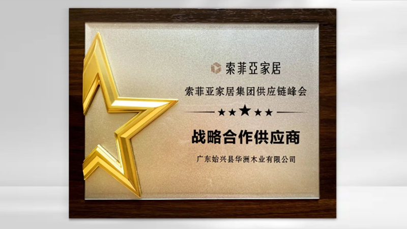【品牌實(shí)力】華洲：創(chuàng)新引領(lǐng)，品質(zhì)鑄就傳奇(圖5)