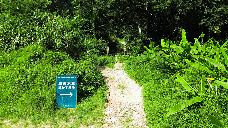 嚴(yán)格選材，只為一張好板材！(圖1)